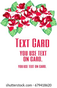 The red Impatiens card design. Red text on flower background is vector.