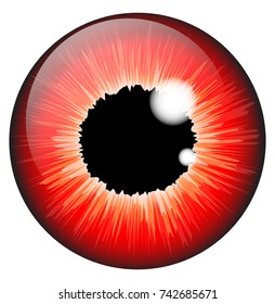 red  iris eye realistic  vector set design isolated on white background