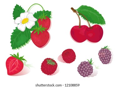 Red isolated fruits- strawberry, cherry, raspberry and blackberry.