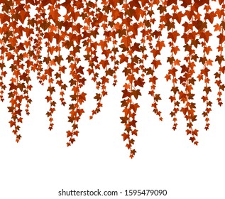 Red ivy branches flat vector illustration. Creeper twigs with orange and brown leaves border isolated on white background. Vegetation, foliage. Liana plant botanical design element.