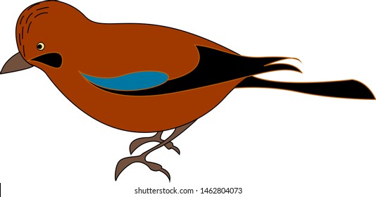 Red jay bird, illustration, vector on white background.
