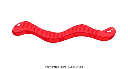 Red jelly worm sweet candy with amazing flavor flat style design vector illustration. Bright colorful jelly delicious sweets isolated on white background.