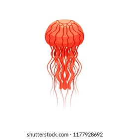 Red jellyfish, beautiful sea creature vector Illustration on a white background
