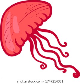 Red jellyfish , illustration, vector on white background