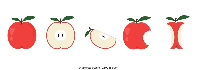 Red juicy apple. Set of apples. Red apple with leaf, half apple, apple slice on white isolated background. Fruits and vitamins. Elements