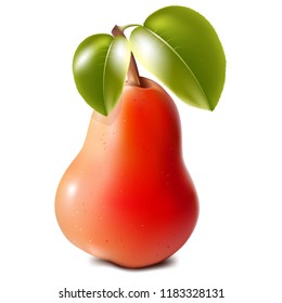 Red juicy realistic pear, close-up on a white background, vector