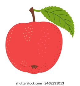 Red juicy ripe apple with green leaf. Hand drawn Red apple trendy flat style isolated on white. Apple harvest. Healthy vegetarian snack, cut apple for design, infographic. Vector illustration