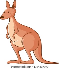 Red kangaroo on white background illustration