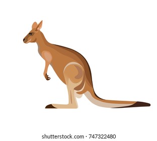 Red kangaroo on white background. Vector illustration