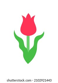 Red kaufman s tulip.Vector color icon isolated on white.