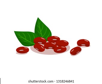 Red kidney bean isolated on white background.