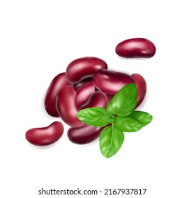 Red kidney beans isolated. Cooked bean pile, baked legume, canned red beans, rajma, Phaseolus vulgaris, leguminous salad ingredient on white background top view, vector illustration