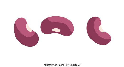 Red kidney beans. Raw dry legumes, seed food. Vegetarian protein eating. Flat graphic vector illustration isolated on white background