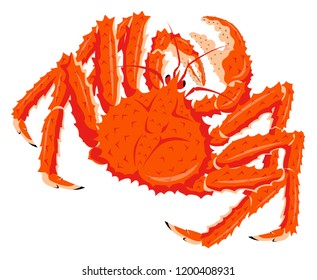 Red king crab isolated on the white background