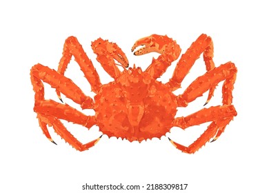 Red king crab isolated on the white background