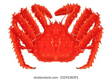 Red king crab isolated on white background. Vector eps 10