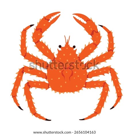 Red king crab isolated on the white background.vector illustration
