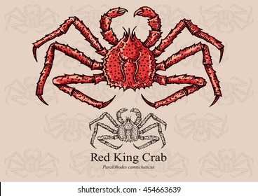 Red King Crab. Vector illustration with refined details and optimized stroke that allows the image to be used in small sizes (in packaging design, decoration, educational graphics, etc.)