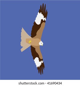 Red Kite - Vector on Blue background