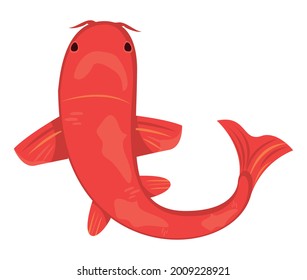 red koi fish carp japanese