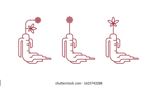 Red Korean Or Chinese Ginseng Icons. Red Ginseng Symbol In Minimal Style. Chinese, Korean Traditional Medicine, Food. Line Or Outline Icons. Vector Illustration