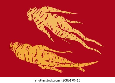 Red korean ginseng root illustration on the red background. Ginseng root symbol in hand drawing style. Chinese, korean traditional medicine, food. Vector illustration