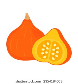 Red kuri squash whole vegetable and slice isolated on white background. Cucurbita maxima. Potimarron icon. Vector illustration of vegetables in flat style.