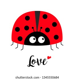 Red lady bug ladybird icon. Love greeting card with heart. Cute cartoon kawaii funny baby character. Happy Valentines Day. Flat design. White background. Vector illustration