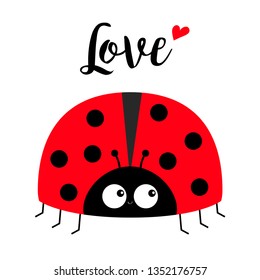 Red lady bug ladybird icon. Love greeting card with heart. Happy Valentines Day. Cute cartoon kawaii funny baby character. Flat design. White background. Vector illustration