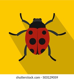 Red ladybird icon. Flat illustration of ladybug vector icon for web