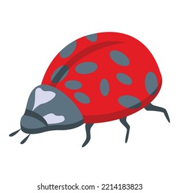 Red ladybird icon isometric vector. Cute bug. Insect garden