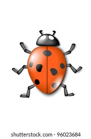red ladybird isolated on the white background