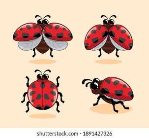 Red Ladybug Cartoon Coccinellidae Illustrations Set Collections