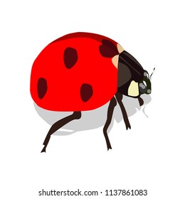 red ladybug in EPS 10