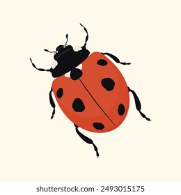 Red ladybug icon on a white background. Vector illustration