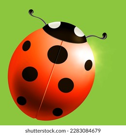 red ladybug on green background