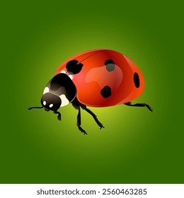 Red ladybug on green background vector illustration EPS10