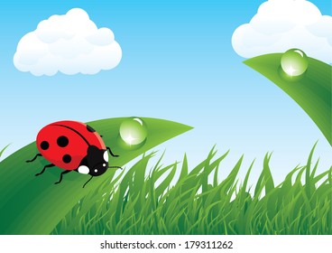 Red ladybug on a green leaf
