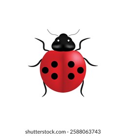 Red ladybug vector isolated on white background