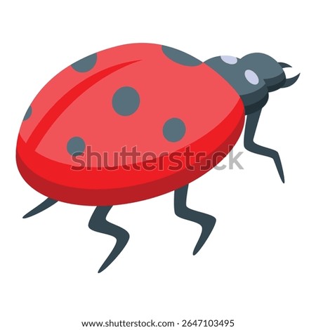 Red ladybug is walking with black spots on its shell