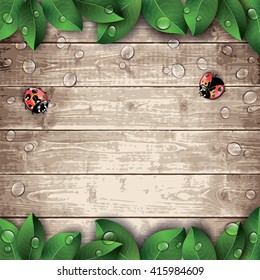 Red ladybugs and green leaves on wooden texture background. Vector illustration.