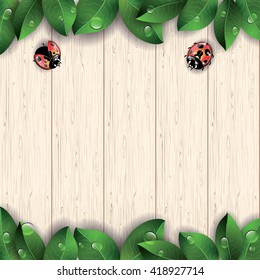 Red ladybugs and green leaves on wooden texture background. Vector illustration.