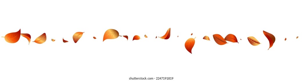 Red Leaf Abstract Vector White Panoramic Background Branch. Fly Solar Brochure. Forest Foliage Nature Concept. Leaves Tree Backdrop.