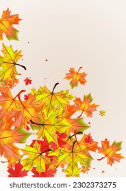 Red Leaf Background BeigeVector. Floral Celebrate Design. Green Ground Leaves. Beautiful Plant Template.