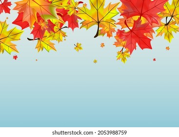 Red Leaf Background Blue Vector. Leaves Nature Template. Yellow Ground Floral. Abstract Foliage Card.