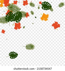 Red Leaf Background Transparent Vector. Strelitzia Trendy Design. Yellow Palm. Rainforest Frame. Light Green Surf Pattern.