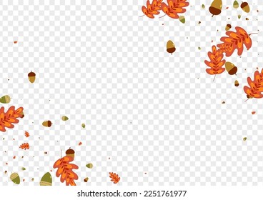 Red Leaf Background Transparent Vector. Herb November Frame. Green Leaves. Pattern Illustration. Gold Oak Fly.