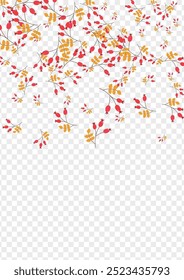 Red Leaf Background Transparent Vector. Leaves Forest Set. Burgundy Herb Art. Poster Frame. Foliage Cartoon.