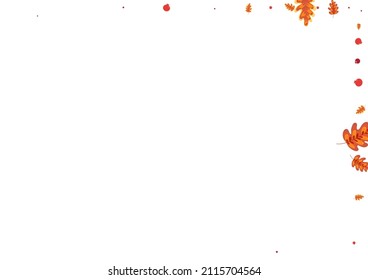 Red Leaf Background White Vector. Leaves Landscape Set. Yellow Plant. Fly Illustration. Green Acorn Isolated.