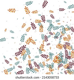 Red Leaf Background White Vector. Foliage Forest Design. Gold Herb. Brown Plant Isolated. Vibrant Texture.